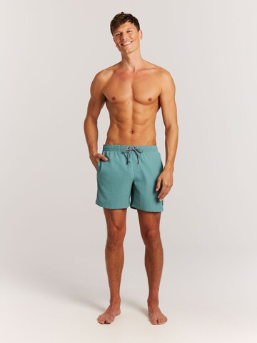 PROTEST Swimming shorts 'Faster' in Green
