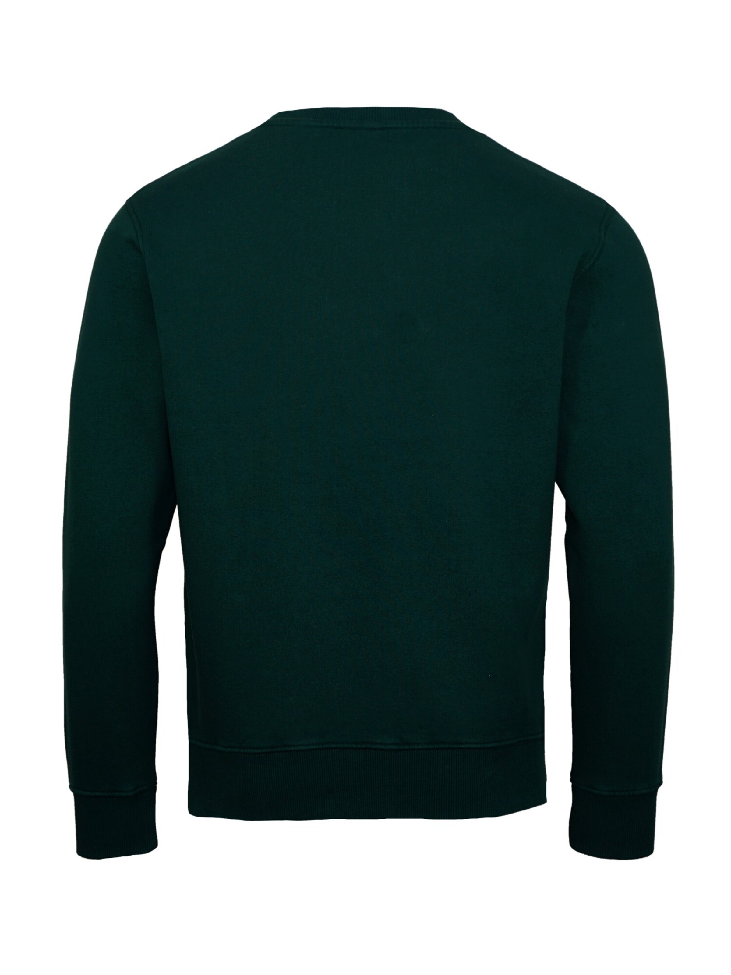 FRANKLIN & MARSHALL Sweater in Green