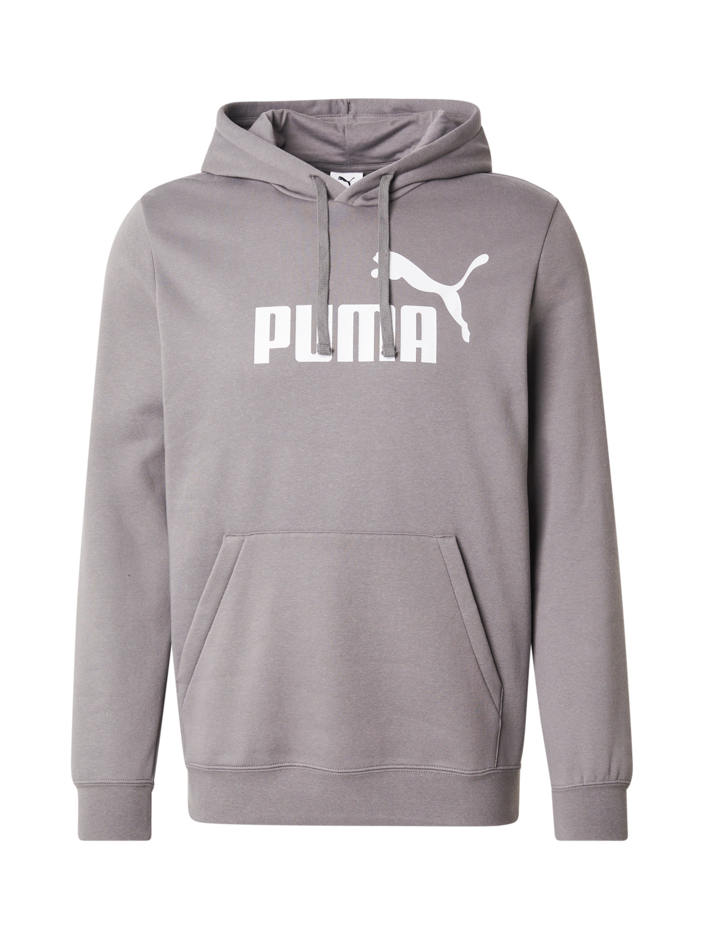 PUMA Sportsweatshirt 'ESS No. 1' in Grijs: voorkant