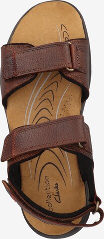 CLARKS Sandals 'Hapsford Creek' in Brown