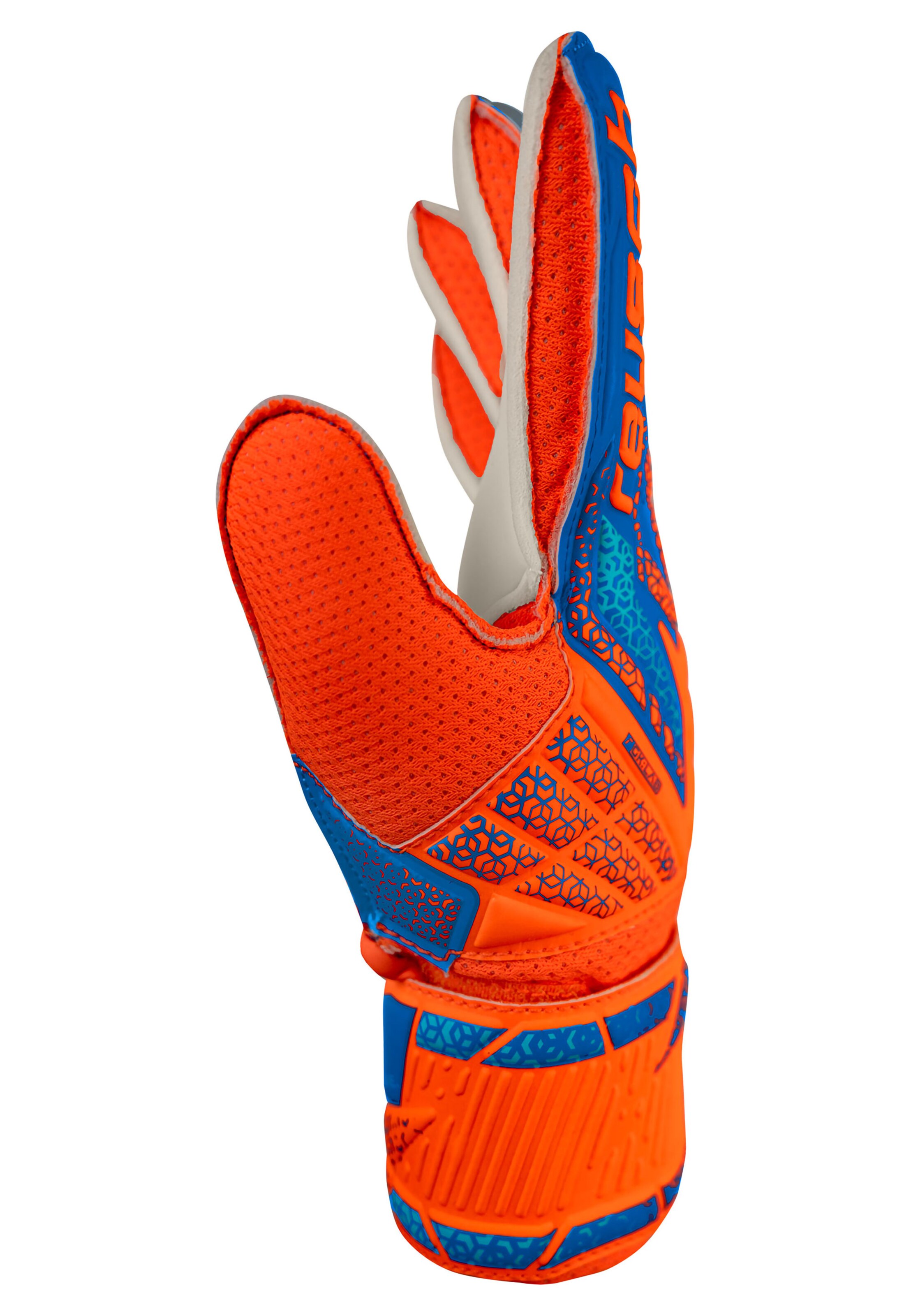 REUSCH Torwarthandschuhe 'Attrakt Solid Junior' in Mischfarben