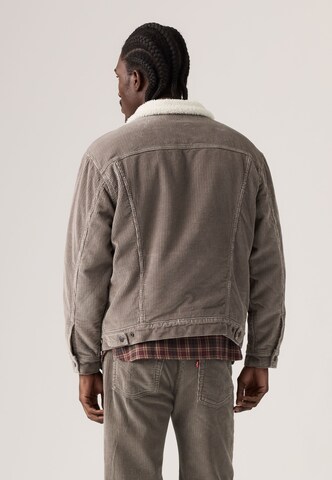 Veste mi-saison LEVI'S ® en gris