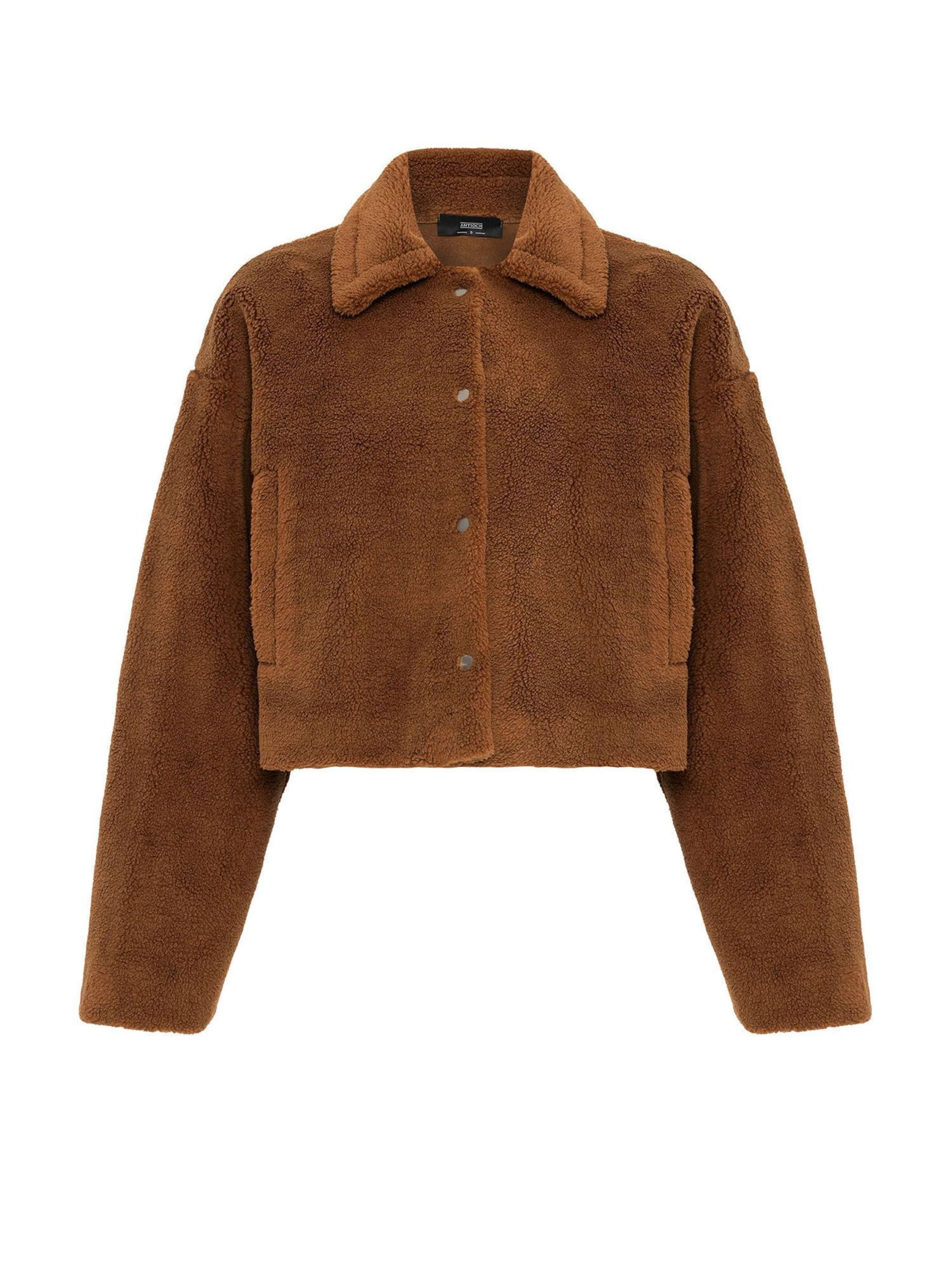 Giacca di mezza stagione di Antioch in marrone: frontale