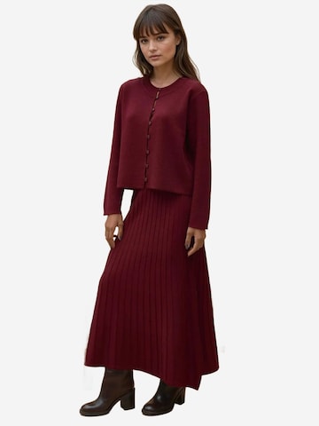 Costume Hiccup en rouge : devant