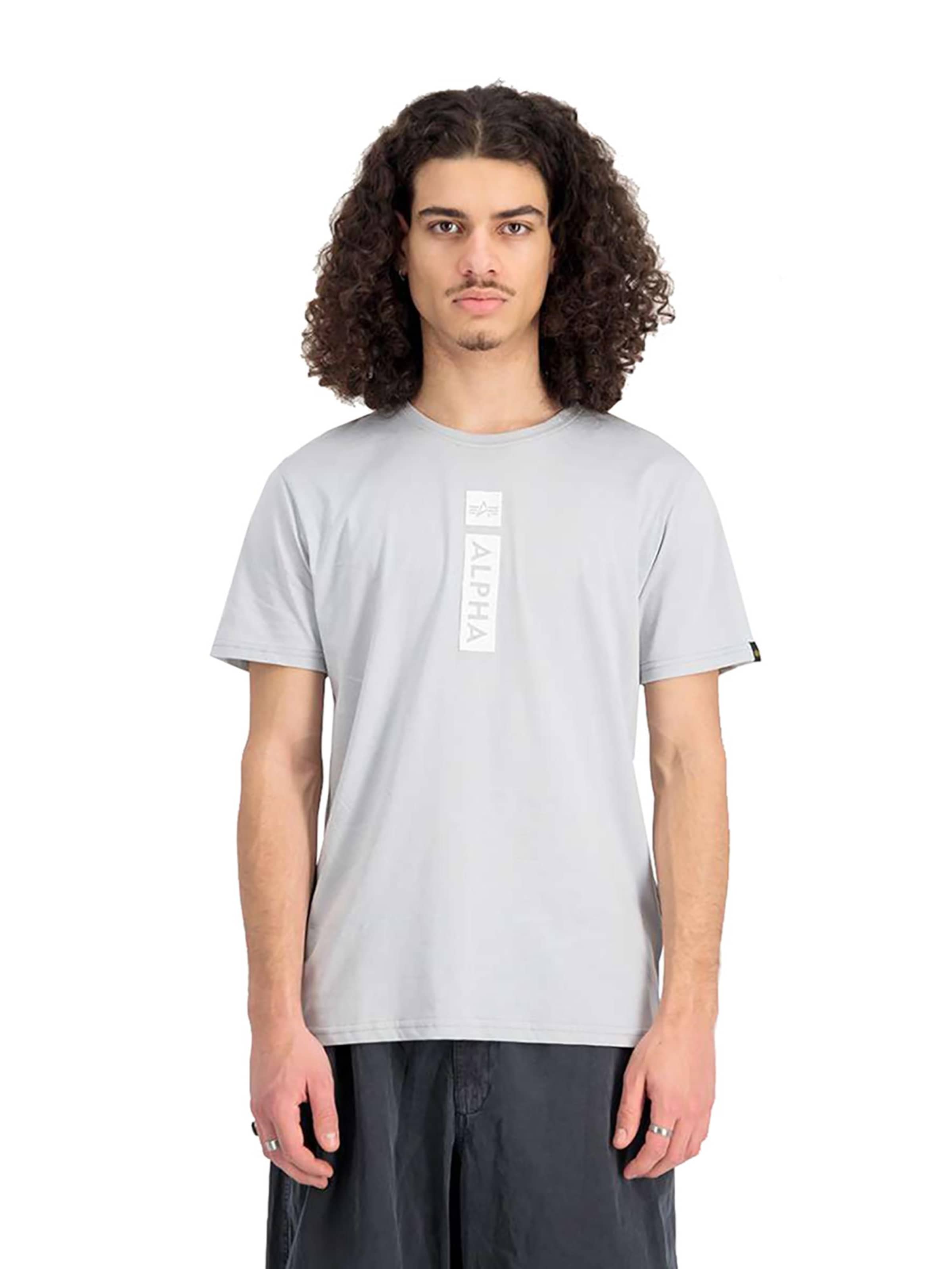 ALPHA INDUSTRIES T-shirt 'Alpha PP' i grå: framsida
