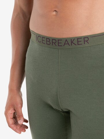 ICEBREAKER Skinny Športové nohavice 'M 200 Oasis' - Zelená