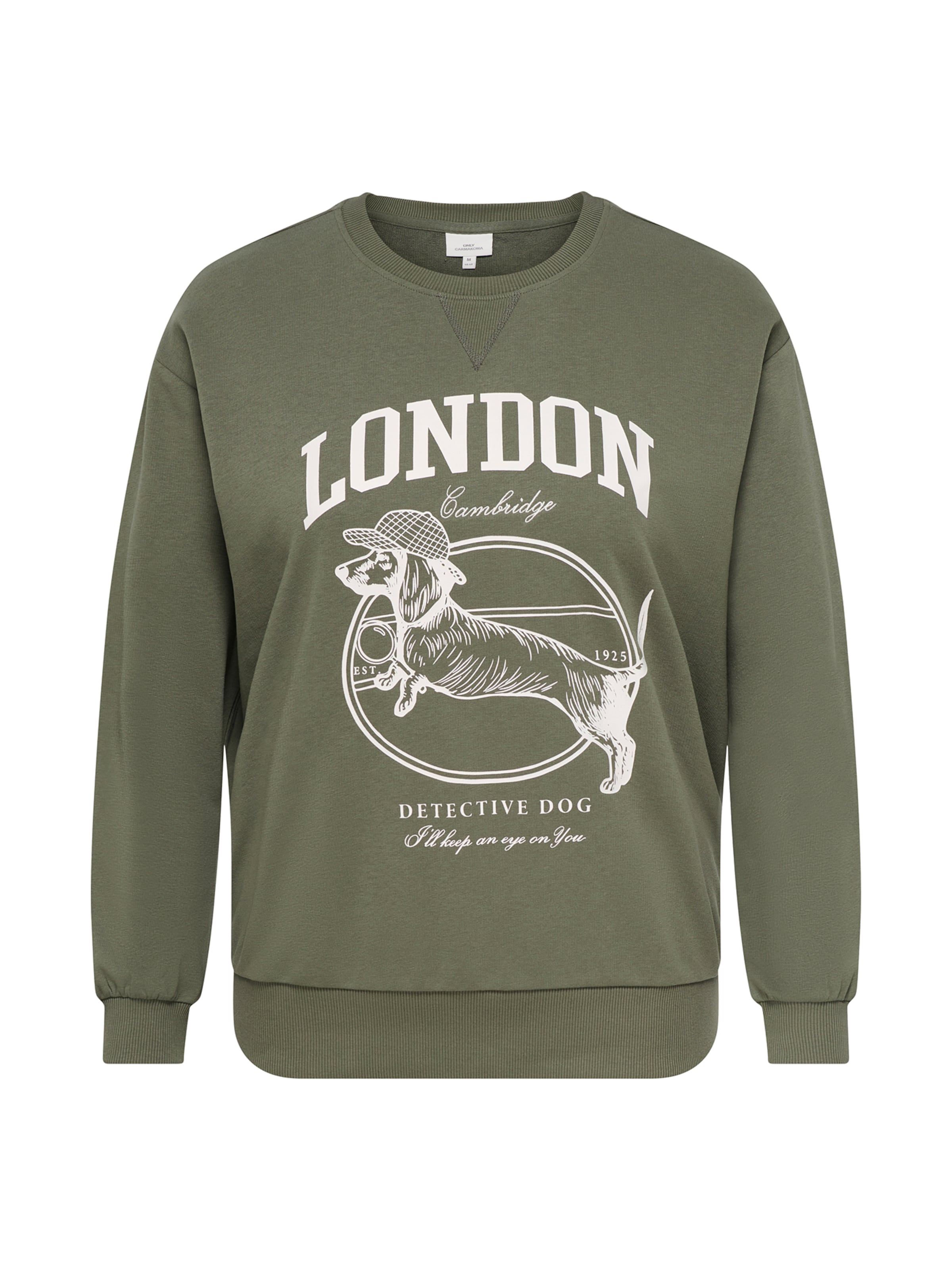 ONLY Carmakoma - Sudadera 'CARAMELIA' en verde: frente