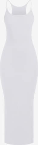 Robe Smilodox en gris : devant