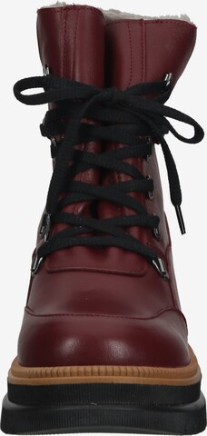 ILC Lace-Up Ankle Boots in Red