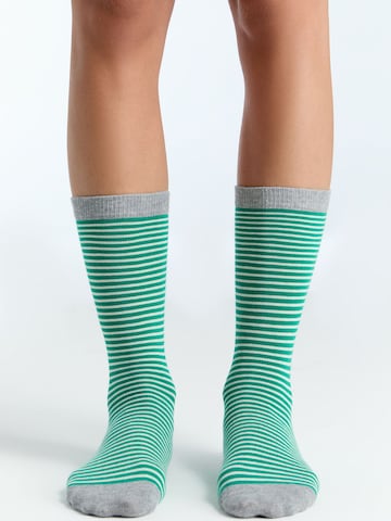 Albero Natur Socks 'Classic' in Green