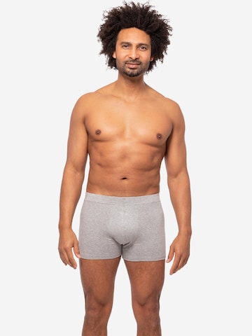 Almonu Boxer shorts 'Every Day Comfort' in Grey: front