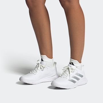 ADIDAS PERFORMANCE Sportschoen 'Court Team' in Wit