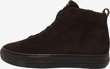 Bottines à lacets Paul Green en marron : devant