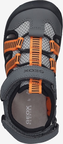 GEOX Sandals & Slippers 'Kyle' in Grey