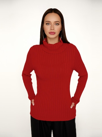 Anushka Pullover in Rot: Vorderseite