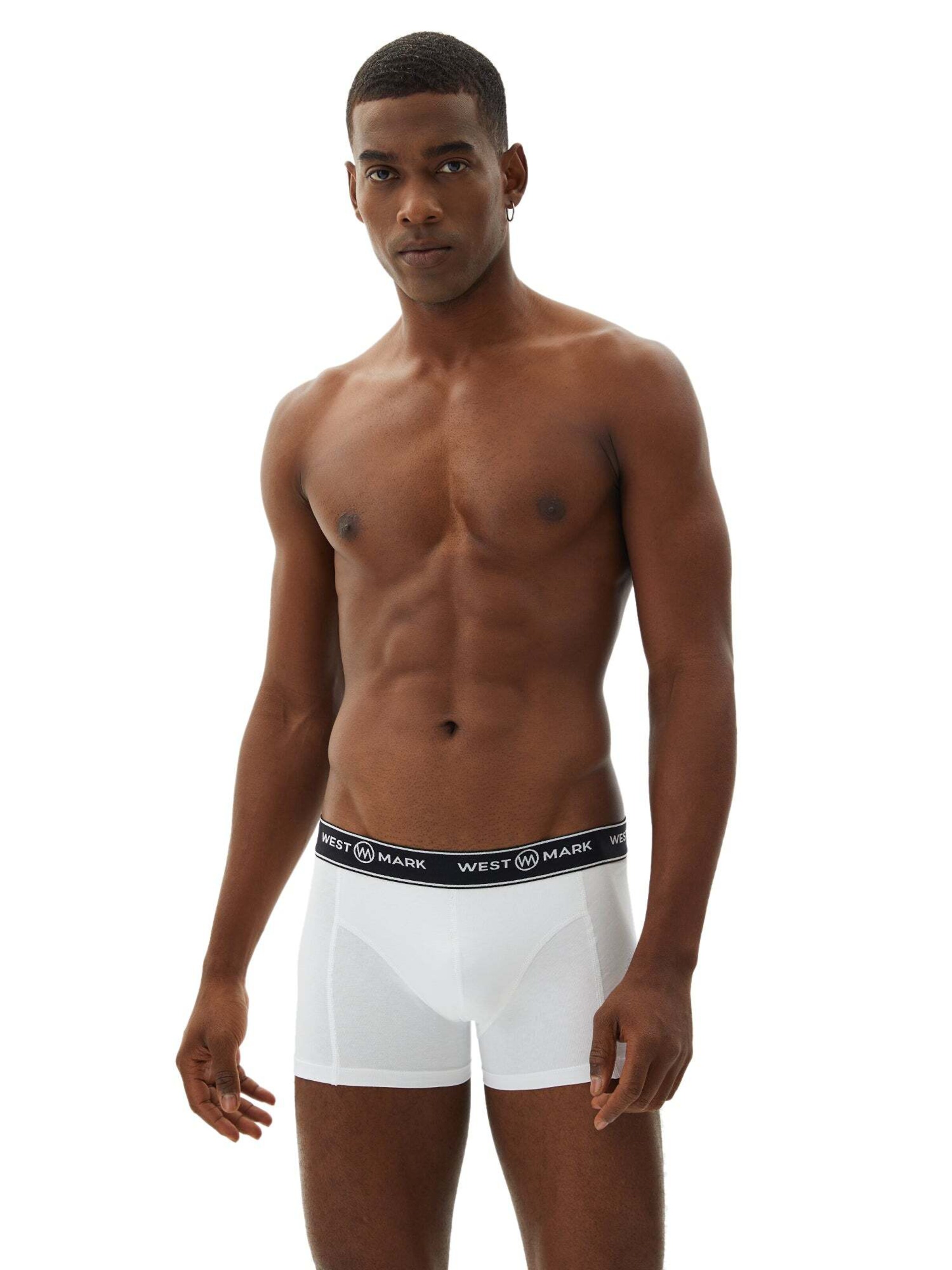 WESTMARK LONDON Boksershorts 'Atlas' i grå