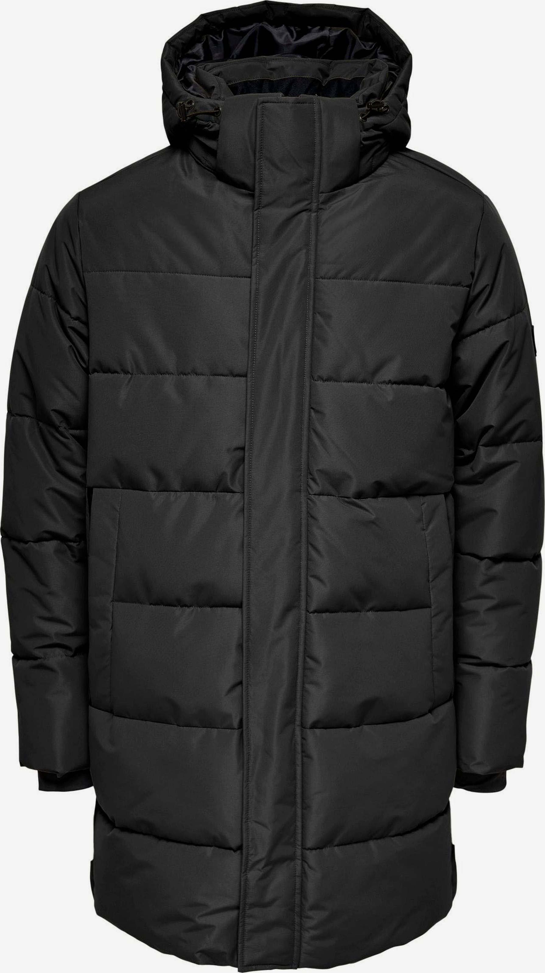 Only & Sons Palton de iarnă 'Carl'
