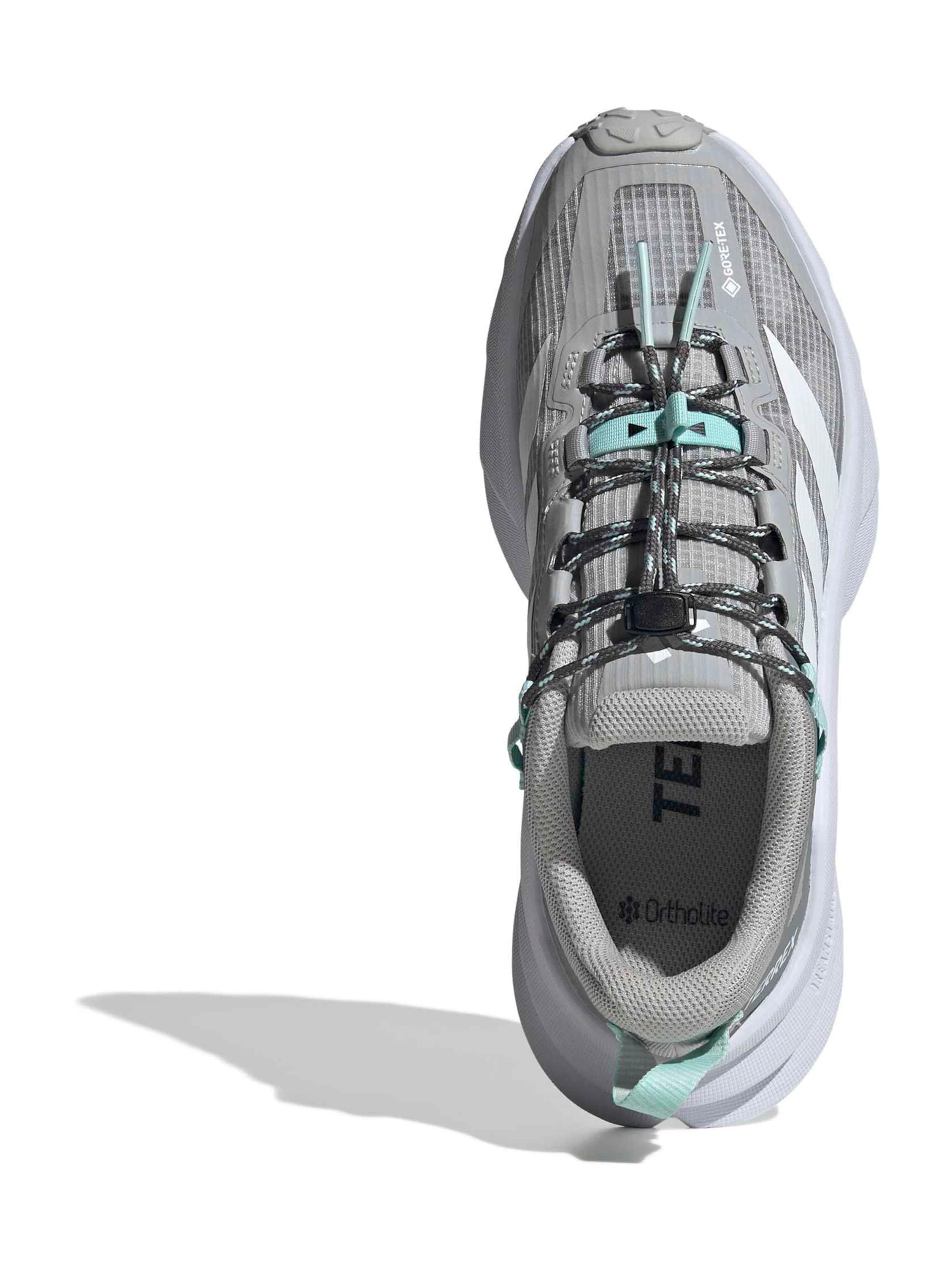 ADIDAS TERREX Low shoe 'Freehiker Sl' in Grey