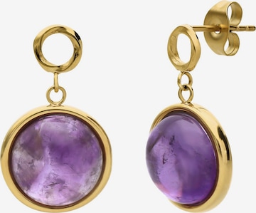 Lucardi Earrings in Gold: front