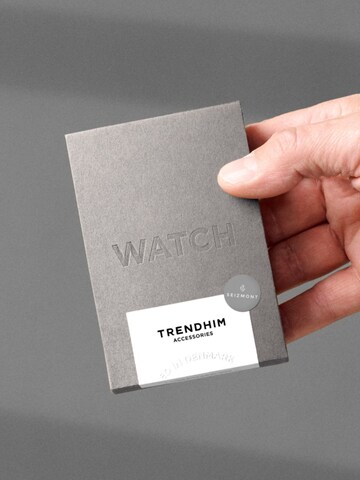 Seizmont Analog watch 'Altair' in Silver