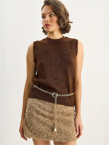 Pull-over Bianco Lucci en marron