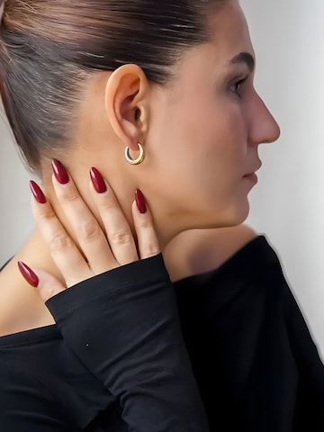 hiBALI Earrings 'Bold Curvy' in Mixed colors