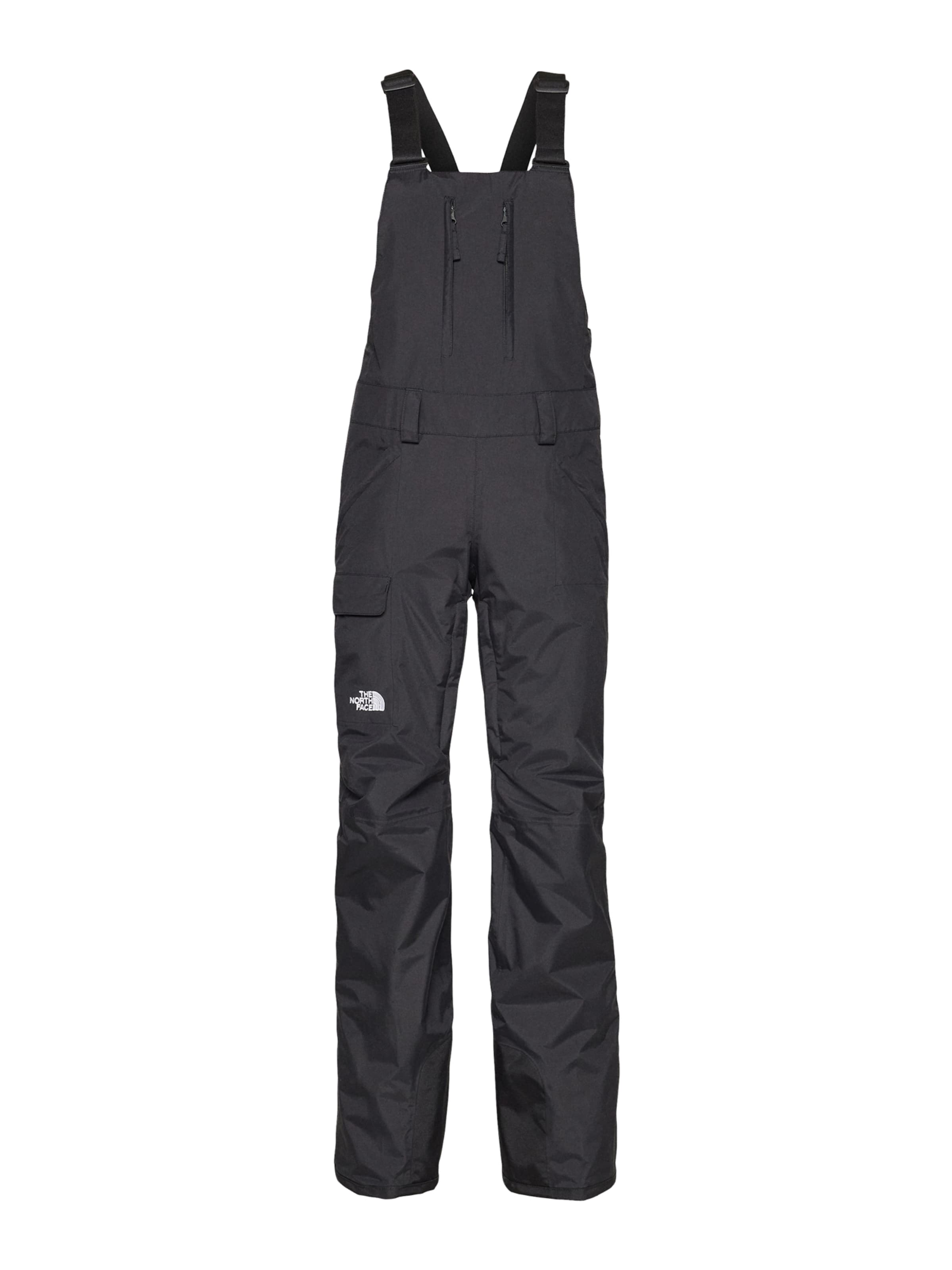 Regular Pantaloni sport 'FREEDOM BIB' de la THE NORTH FACE pe negru: față