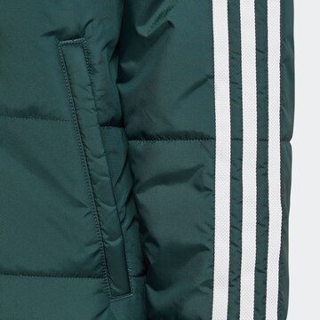 ADIDAS ORIGINALS Зимняя куртка 'Adicolor' в Зеленый