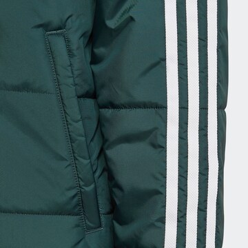 žalia ADIDAS ORIGINALS Žieminė striukė 'Adicolor'