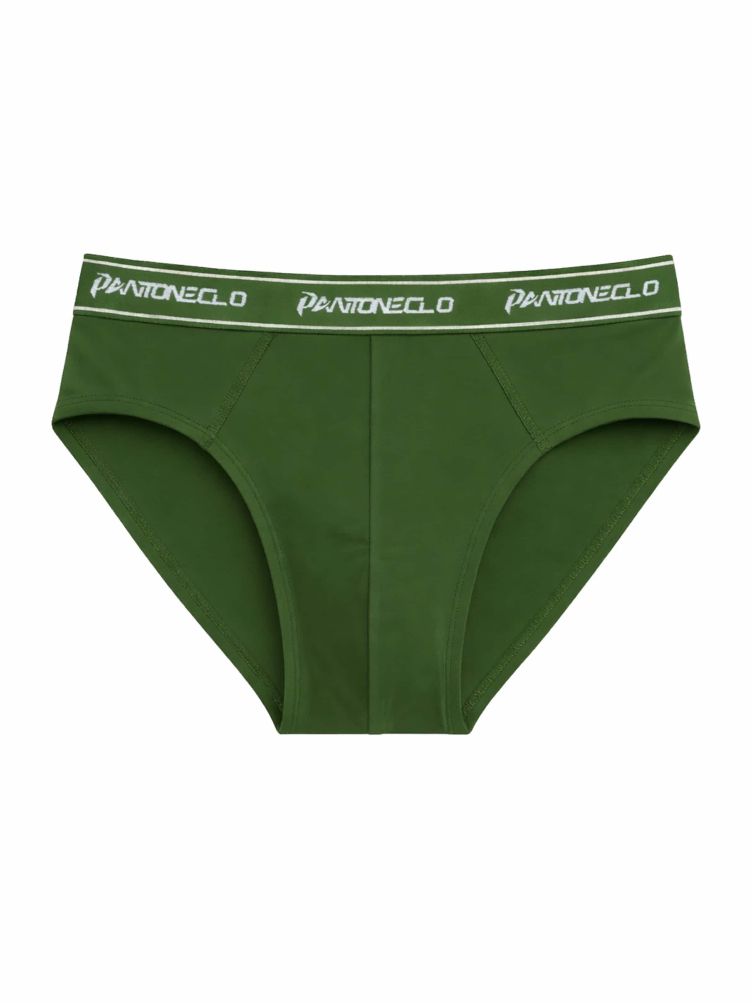 PANTONECLO Slip 'Pantoneclo Men’s Boxer Brief Underwear'‌‌‌‌‌‌‌‌‌ in Grün: Vorderseite