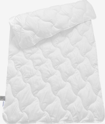 SCHIESSER Blankets 'Hygge' in White: front