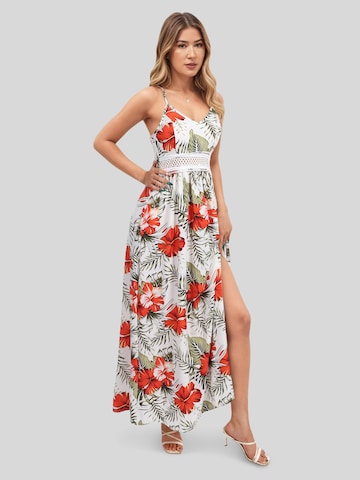 LapaPlus Beach Dress in Mixed colors: front