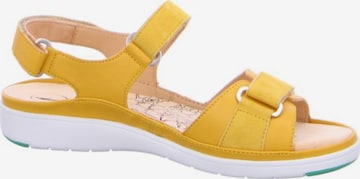 Ganter Sandale in Gelb