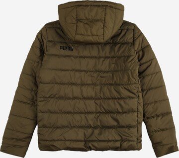 Veste d’hiver PUMA en vert