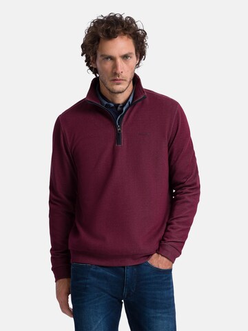 PIERRE CARDIN Sweatshirt in Purple: front