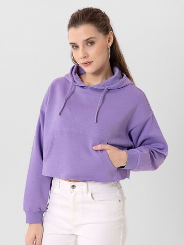 Jacey Quinn Sweatshirt 'Heide' i lila: framsida