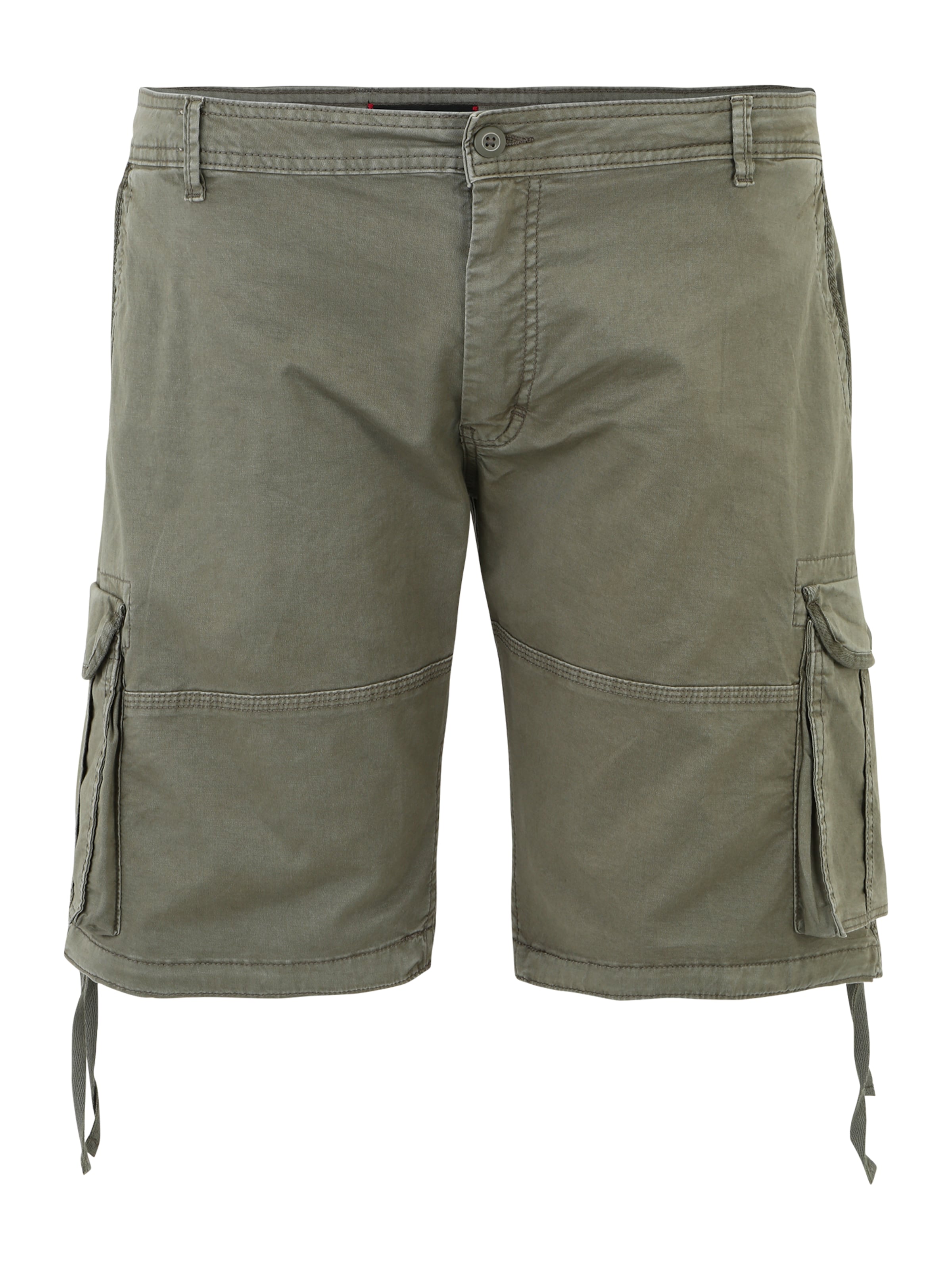 Jack & Jones Plus Regular Cargo Pants 'ZEUS' in Green: front