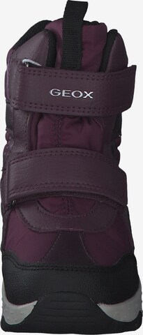 GEOX Snowboots in Lila