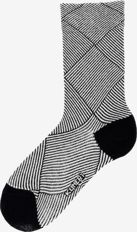 KUNERT Socken 'Business Check' in Schwarz: Vorderseite