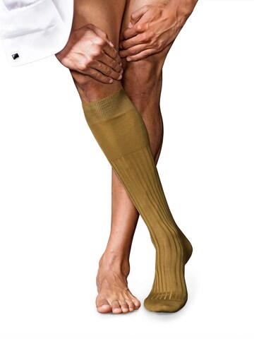FALKE Knee High Socks 'No. 13 Finest Piuma Cotton' in Green: front