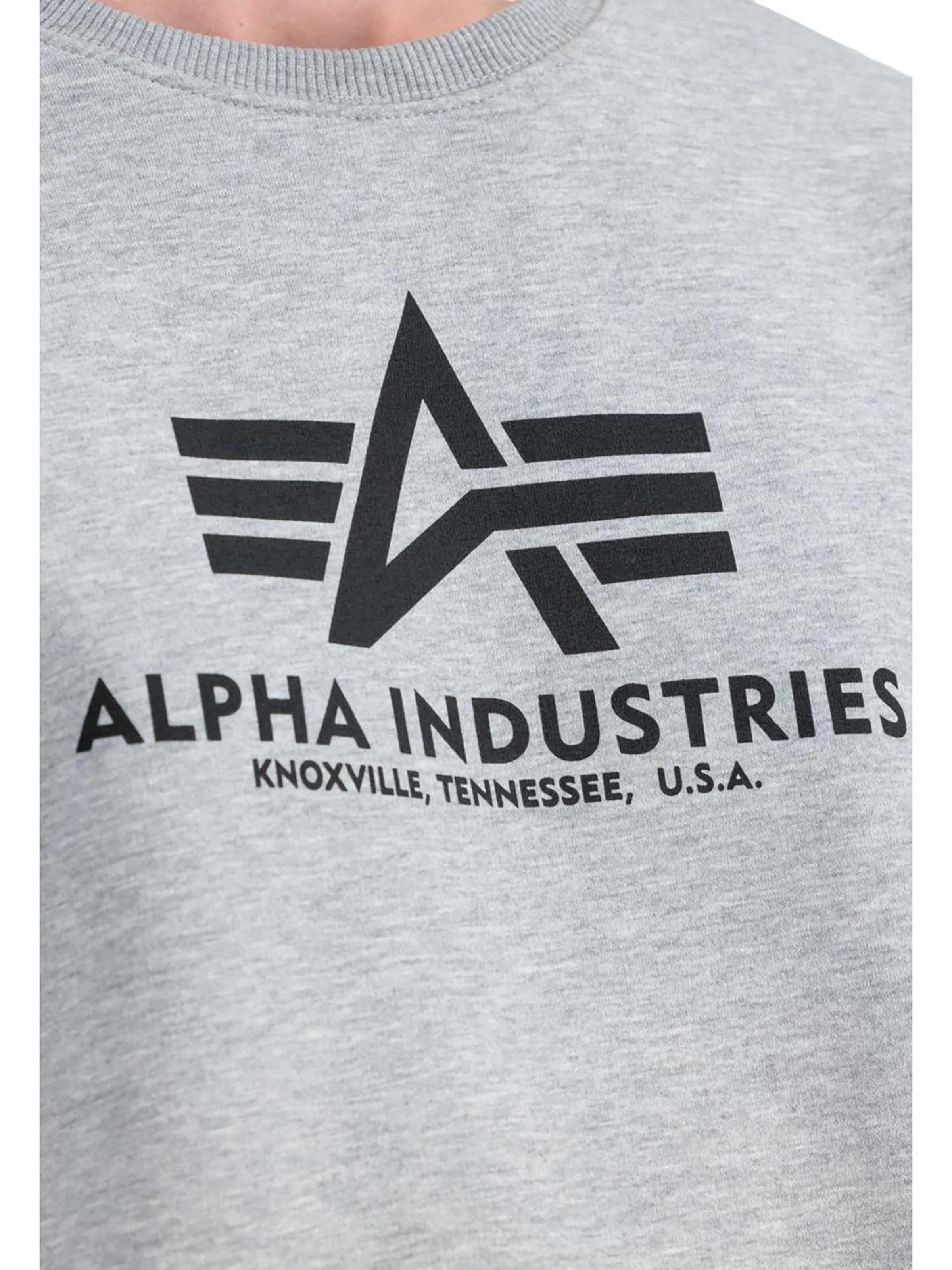 ALPHA INDUSTRIES Bluzka sportowa w kolorze szary