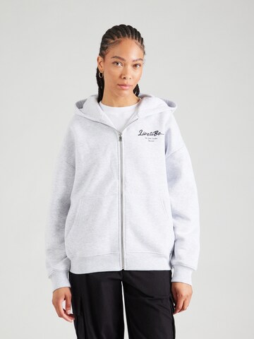 LTB Zip-Up Hoodie 'MIRONE' in Grey: front