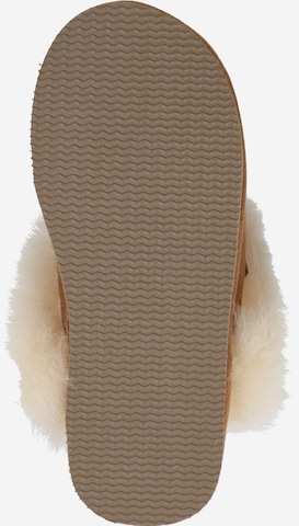 SHEPHERD Slipper in Brown