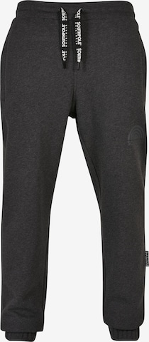 SOUTHPOLE Tapered Pants 'Southpole' in Black: front