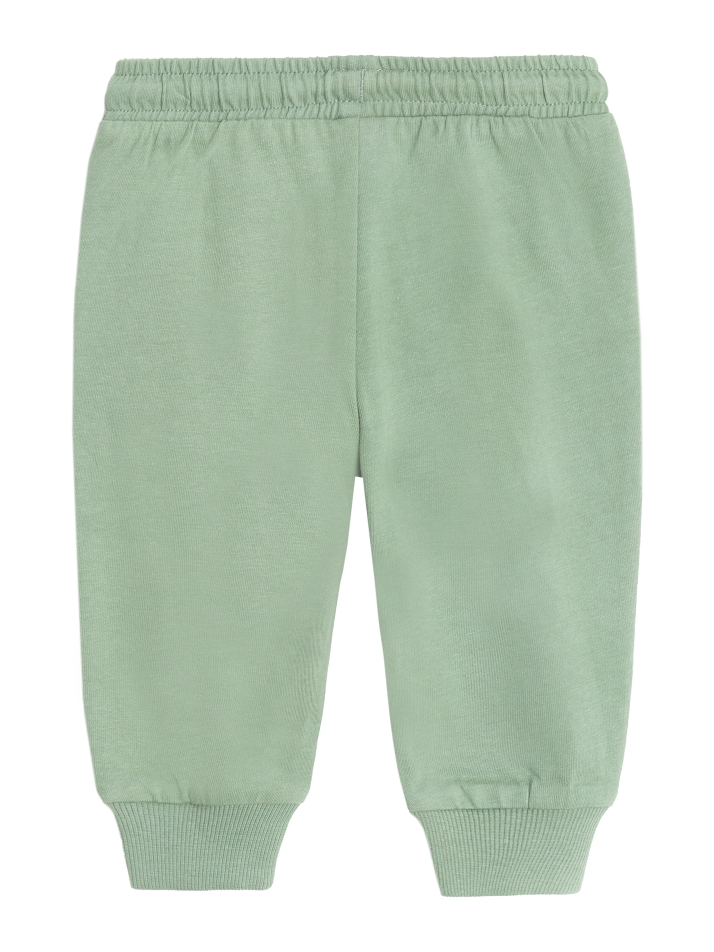 Cool Club Tapered Hose in Grün: Rückseite