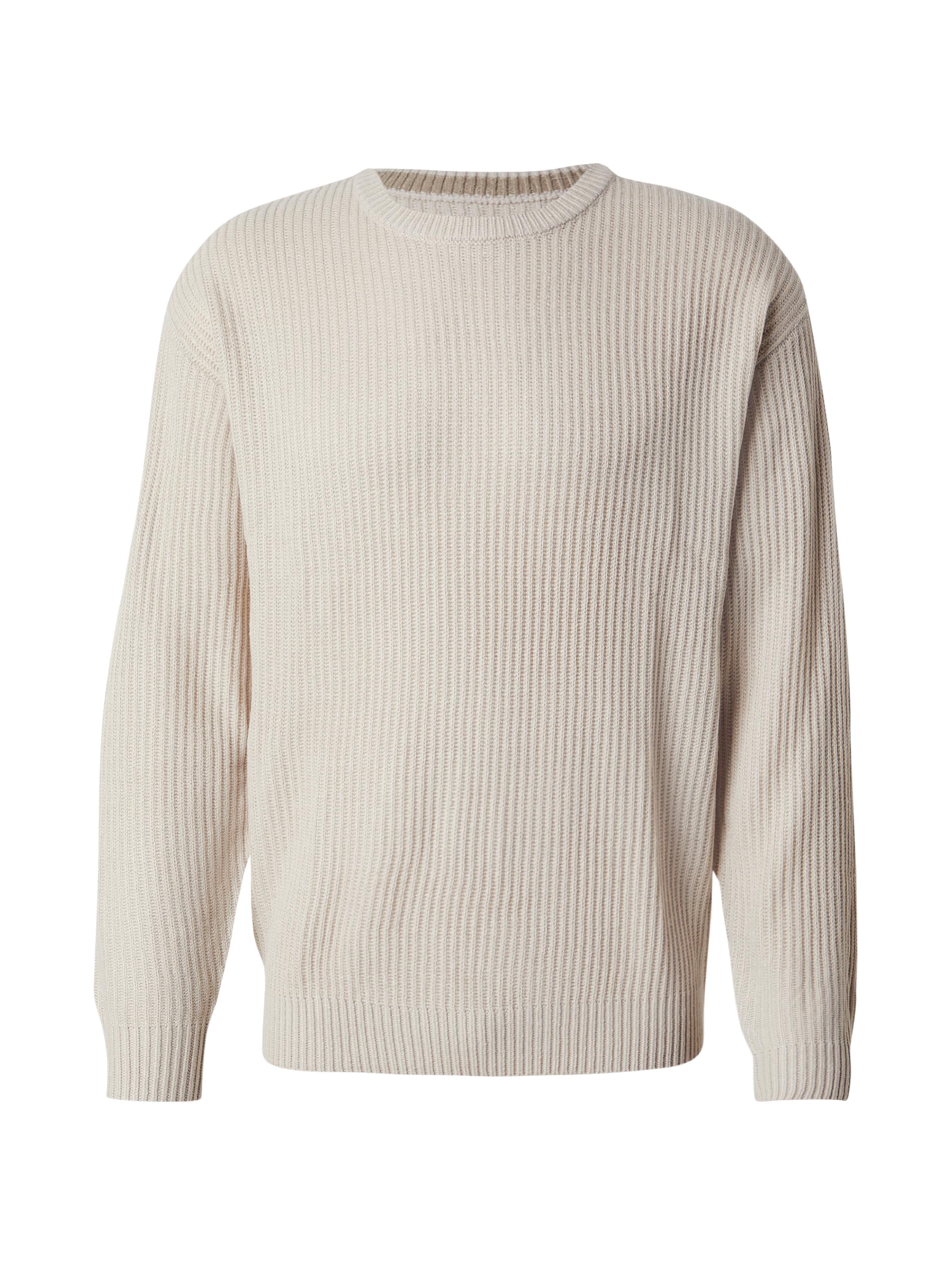 JJ Rebel Pullover 'JREBLOGAN' i beige: forside
