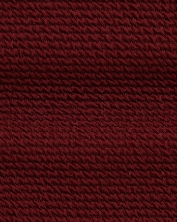 WE Fashion Низ бикини в Красный