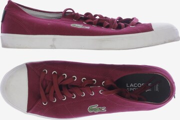 Lacoste Sport Sneakers & Trainers in 46 in Red: front