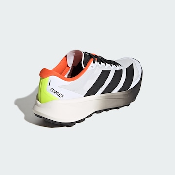 Chaussure basse 'Agravic 4' ADIDAS TERREX en blanc