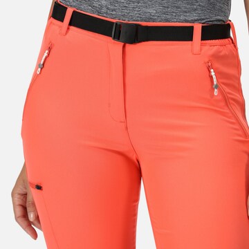 REGATTA Regular Outdoor Pants 'Xert' in Orange